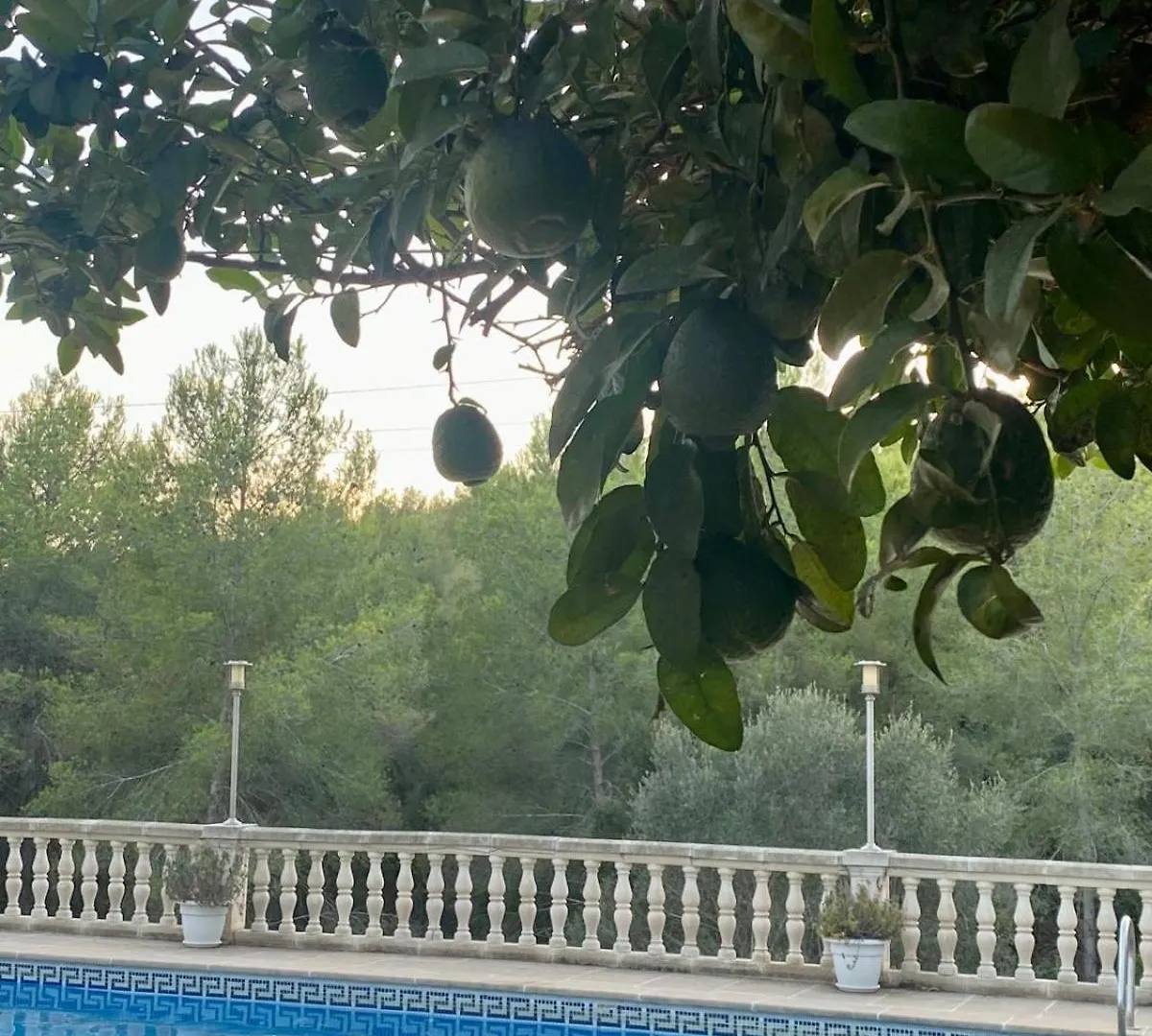 Holiday home La Casa Dels Boscos Villa Tarragona